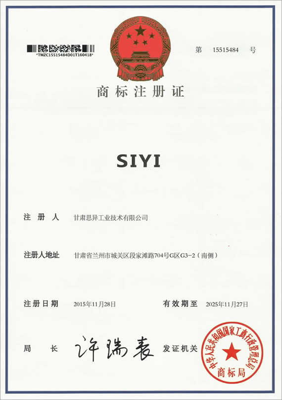 SIYI（第9類）